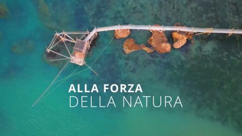 PAST CARDS - valigetta Limited Editio